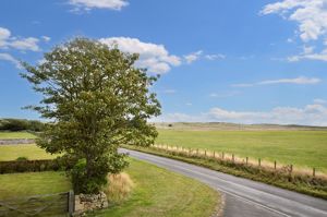 Photo 1- click for photo gallery